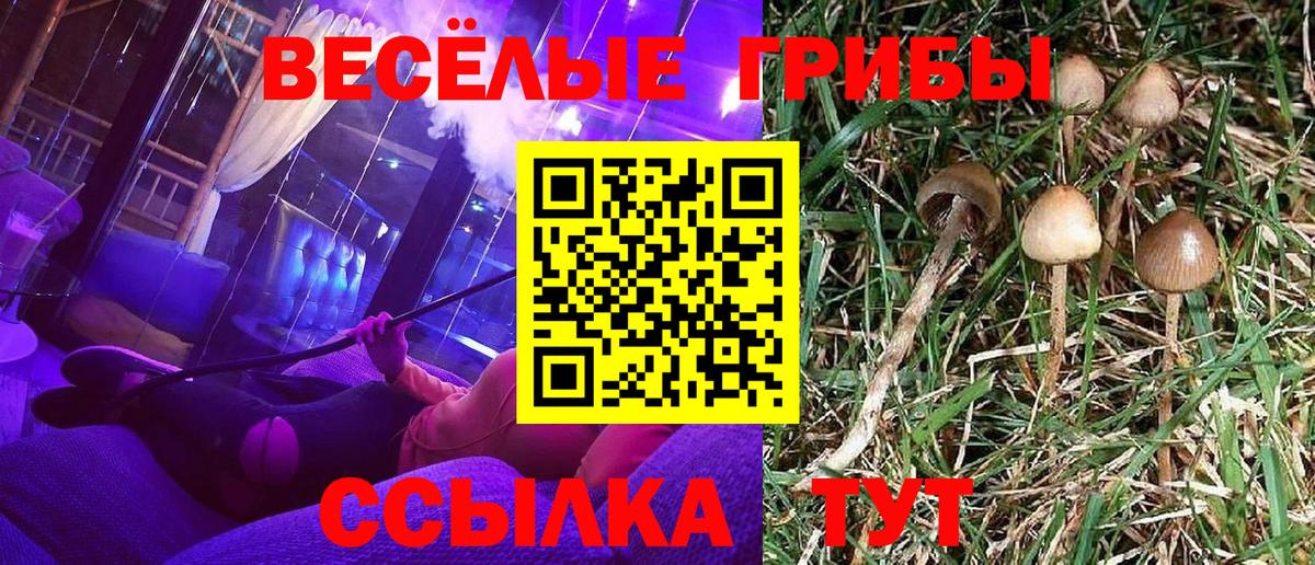 Псилоцибиновые грибы Magic Shrooms Иваново